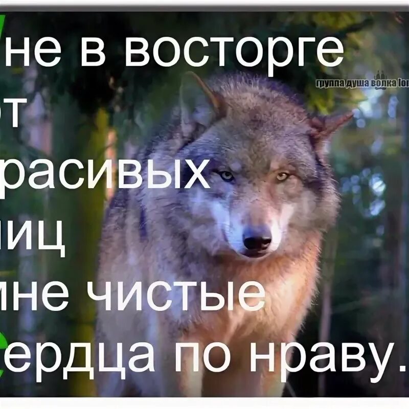 Фу фу ты. Стикер обидно. Не по нраву. Я не в восторге от красивых лиц. Не по нраву.