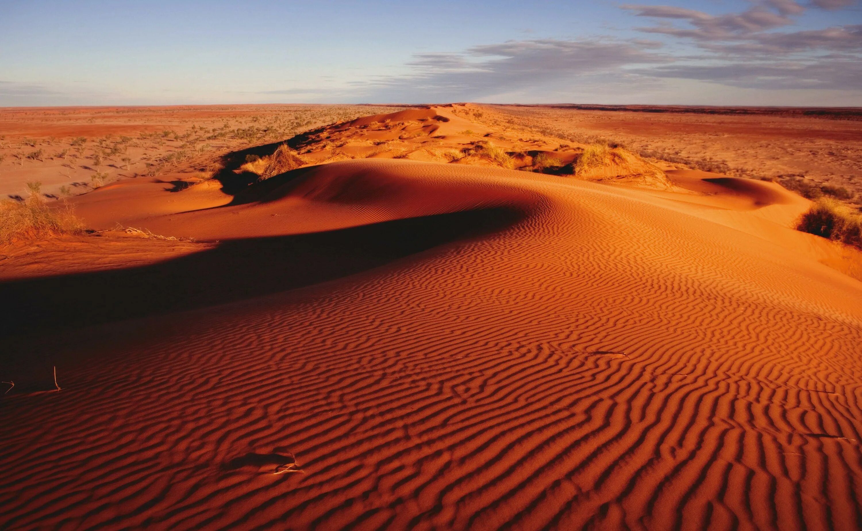 A great variety of. Симпсон Дезерт национальный парк Австралии. Great Victoria Desert Австралия.