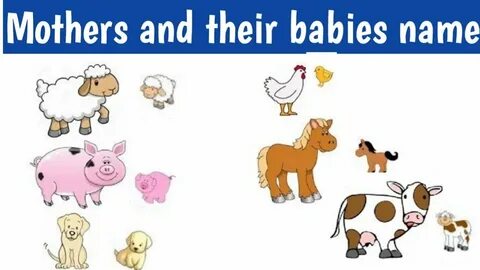 Their babies