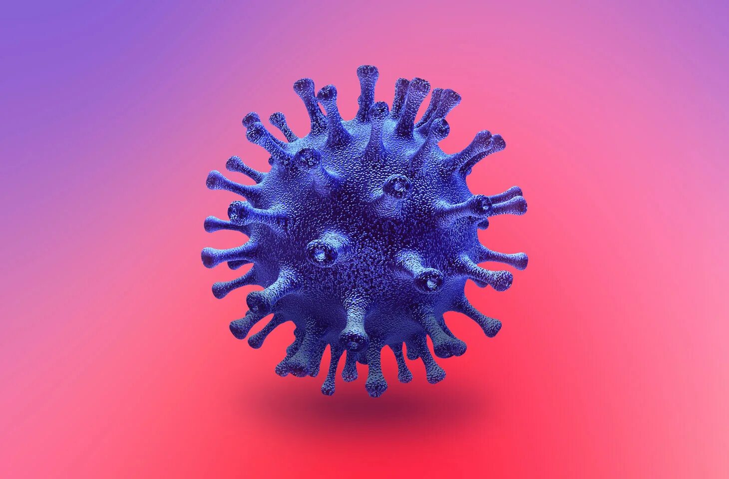 Коронавирус обычный. Коронавирус. Фиолетовый вирус. Вирусы картинки. Изображение коронавируса.