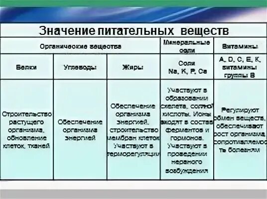 Значение пищи и её состав презентация, доклад