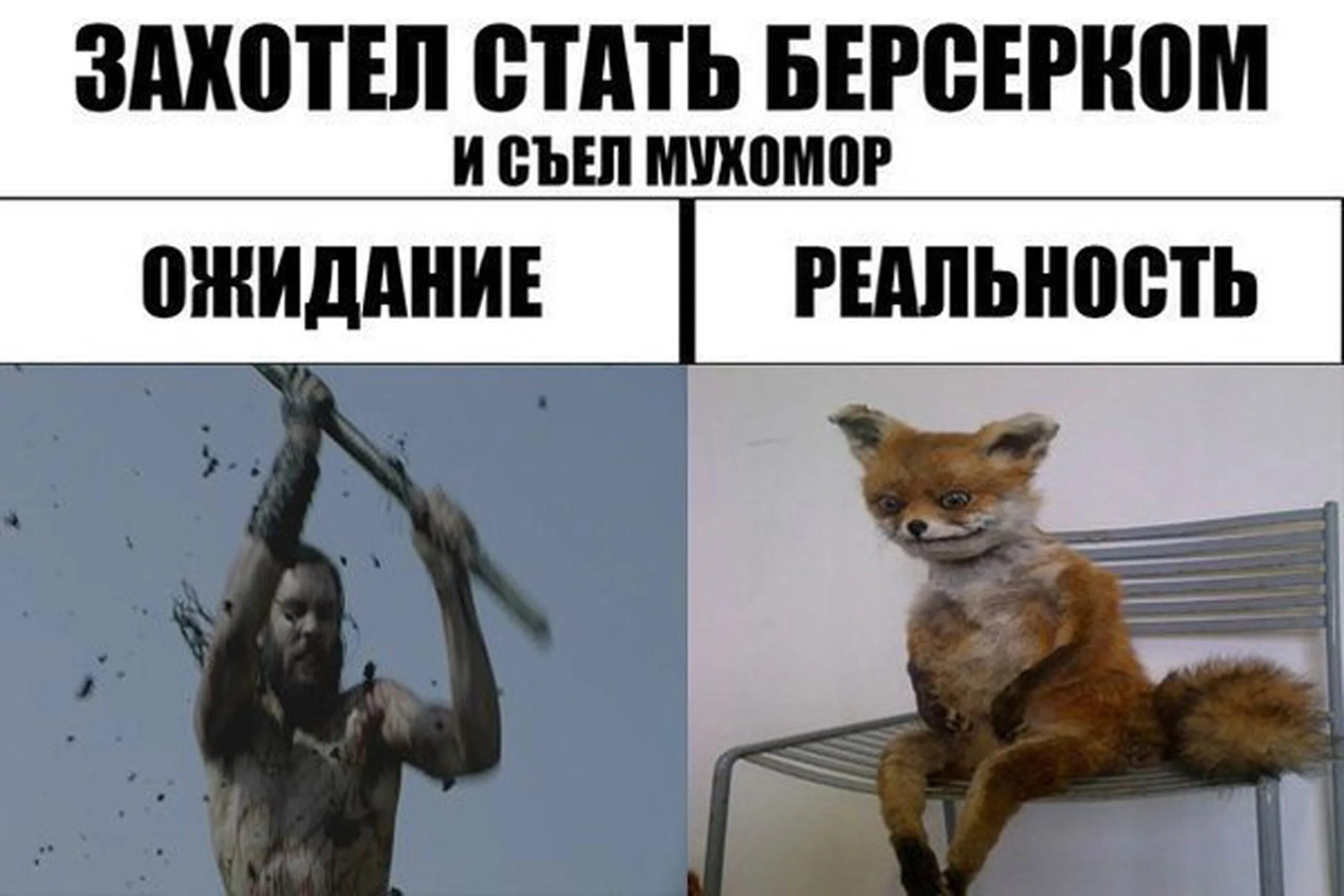 Как захотеть стать. Захотел стать берсерком и съел мухомор. берсерки и мухоморы ожидание и реальность. язычник ожидание реальность. мухомор мем.