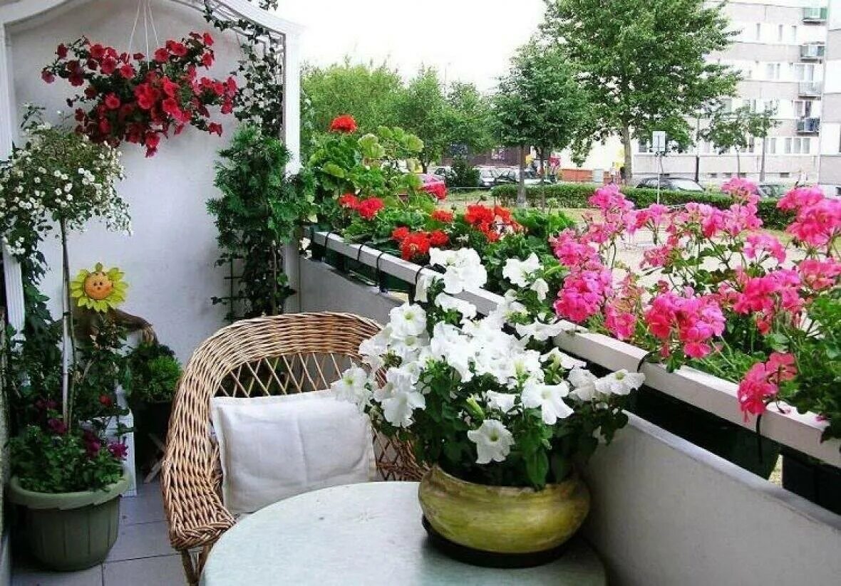 Balcony gardening. Бегония балконная. Петуния балконная. Цветник на балконе. Балкон с цветами.