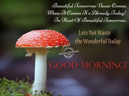 Wonderful today