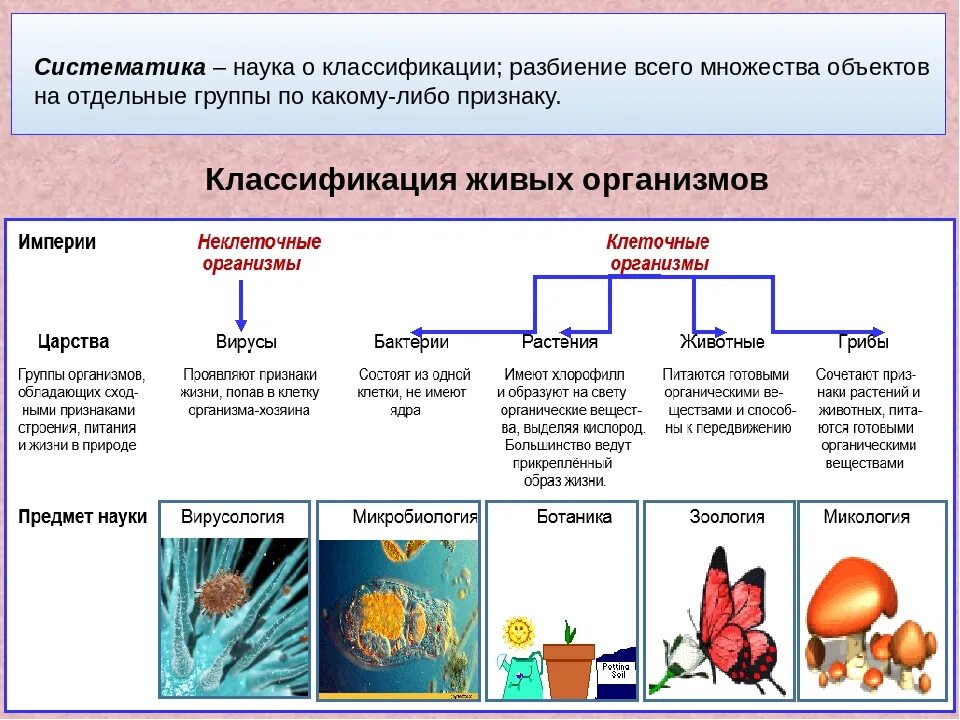 Какие группы имеют группы. Классификация живых организмов 5 класс биология. Конспект по биологии 5 класс классификация живых организмов. Классификация живых организмов схема. Схема современной классификации организмов.