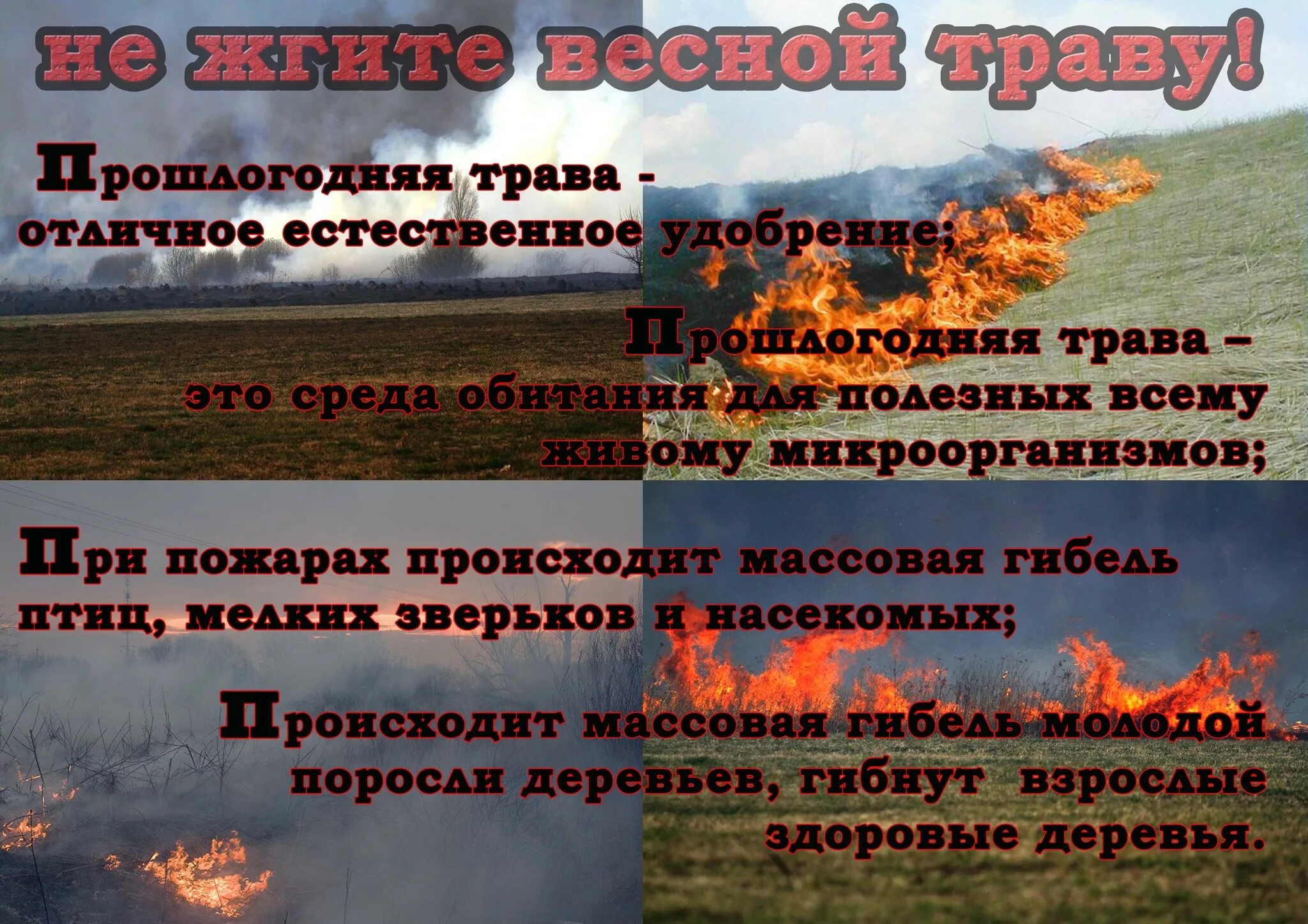 Пал травы. Весенний пожароопасный период. Пал травы плакат. Памятка не жгите сухую траву. Минус пал