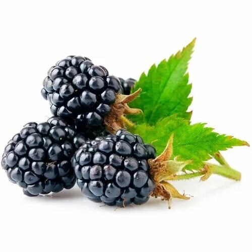 со вкусом ежевики. со вкусом ежевики. конфеты со вкусом ежевики. напиток аризона 0. кисель с ежевикой.