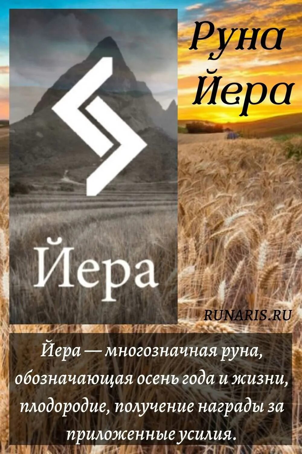 Лет рун. Руна яра. руна эйр. руна йера. руна йера значение.