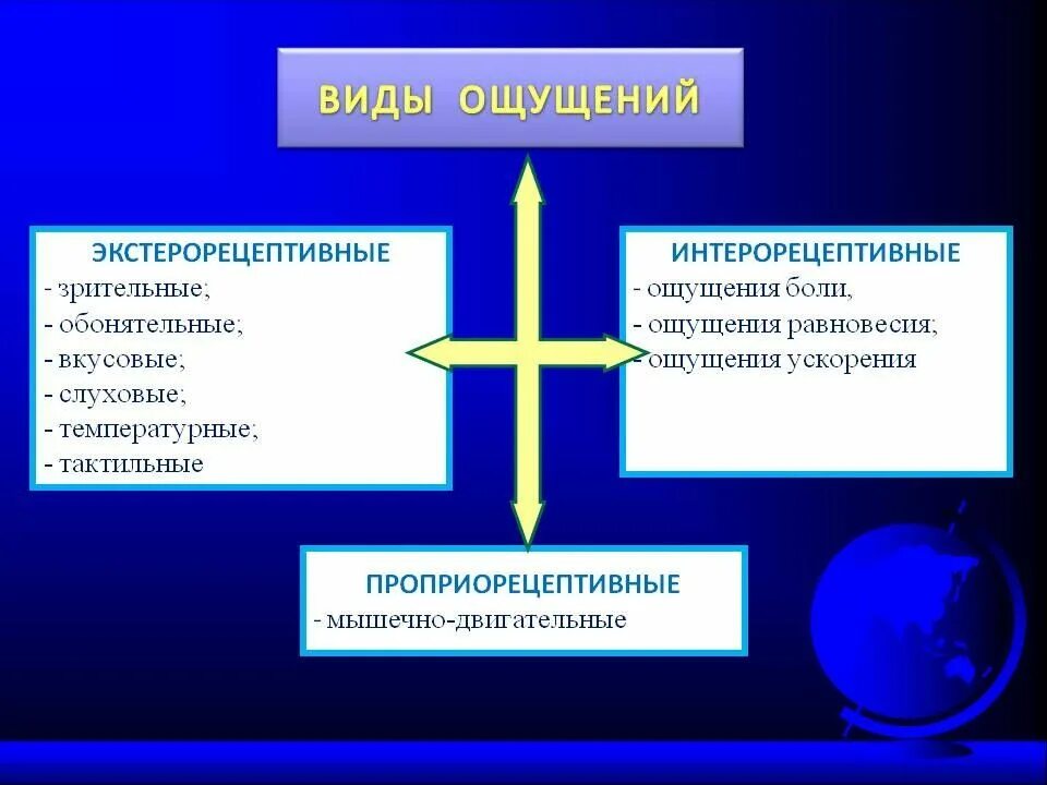 Системы ощущений