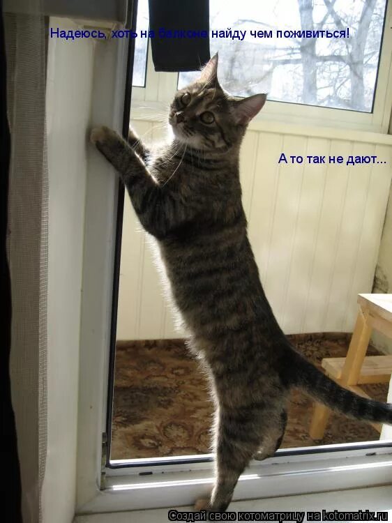 картинка беременная я передумала. я хочу ломай. верить и ждать. рита мем. я надеюсь картинки.