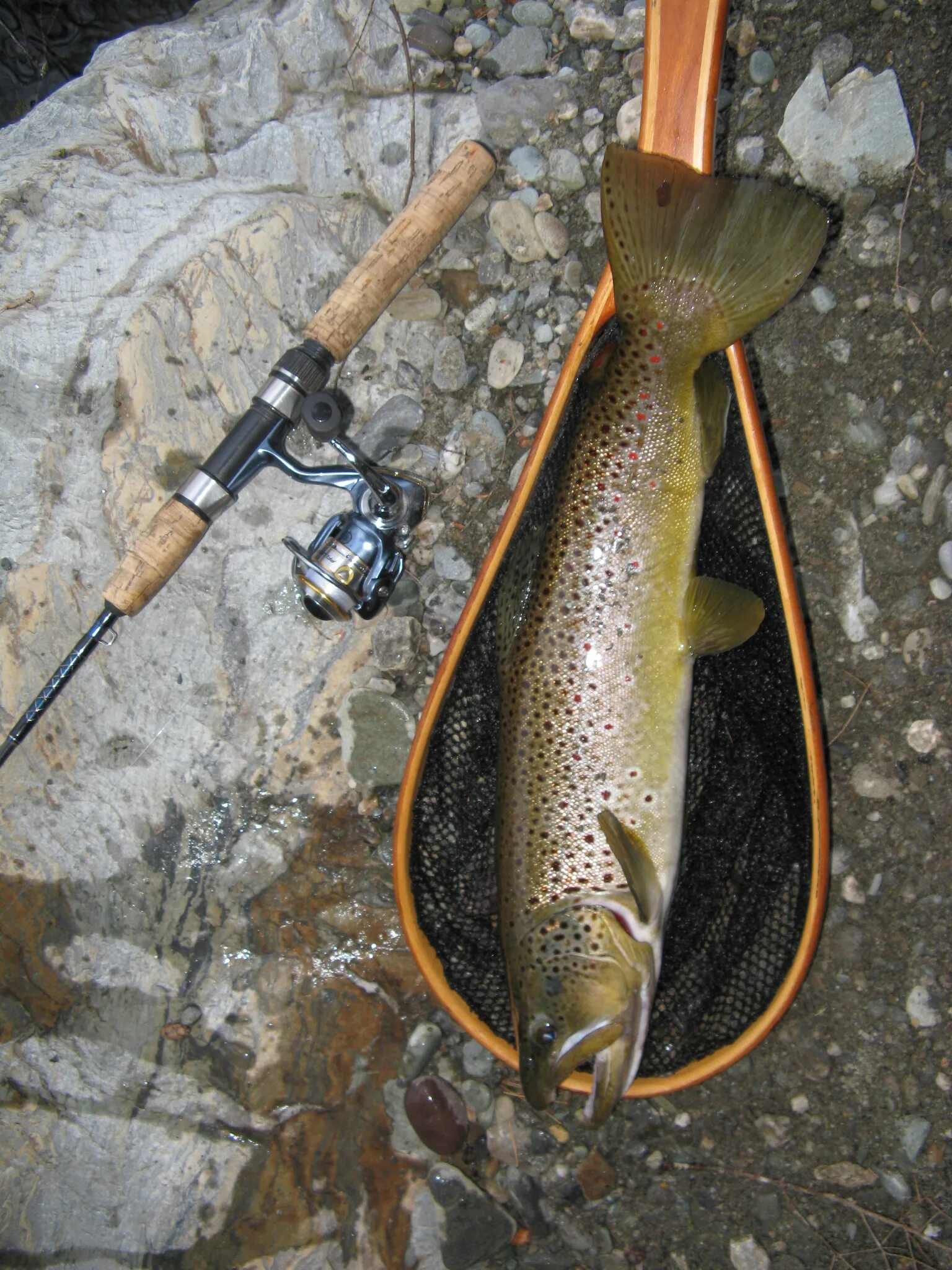 Река янисйоки рыбалка. Горно ручьевая форель. Где ловить кумжу. Кумжа на кольском полуострове. Где ловить кумжу.