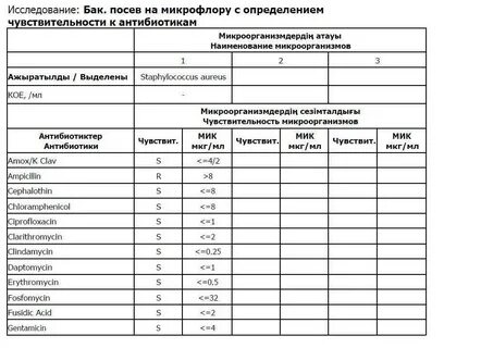 Сколько дней делается моча на антибиотики