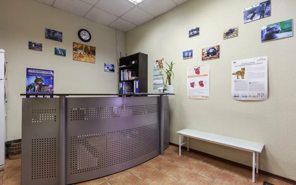 Вывеска для ветклиники. Ветеринарный центр москва. Ветклиника молодцова 4а. Ветклиника ул. Москва ул молодцова д 4а.