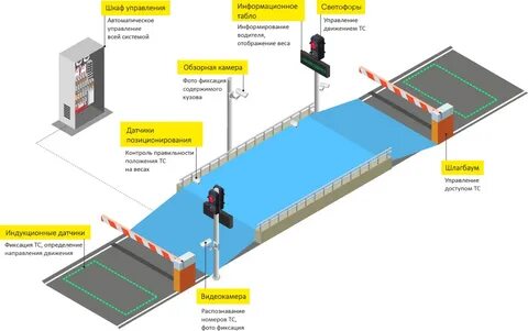 Карты весовых рамок 2024 года