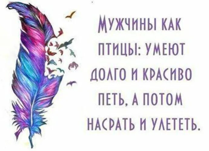 Мужчины как птицы умеют долго и красиво. Мужчины как птицы умеют долго. Мужчина как птица долго и красиво петь. Мужчины как птицы умеют долго и красиво петь.