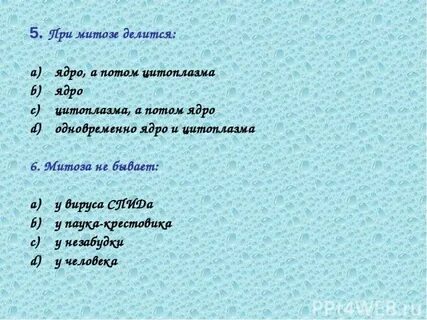 Сначала делится