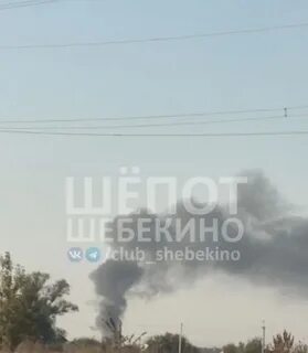Подслушано шебекино телеграмм