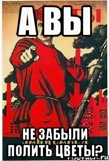 Забыла полить цветы