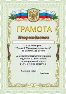 Грамота в номинации