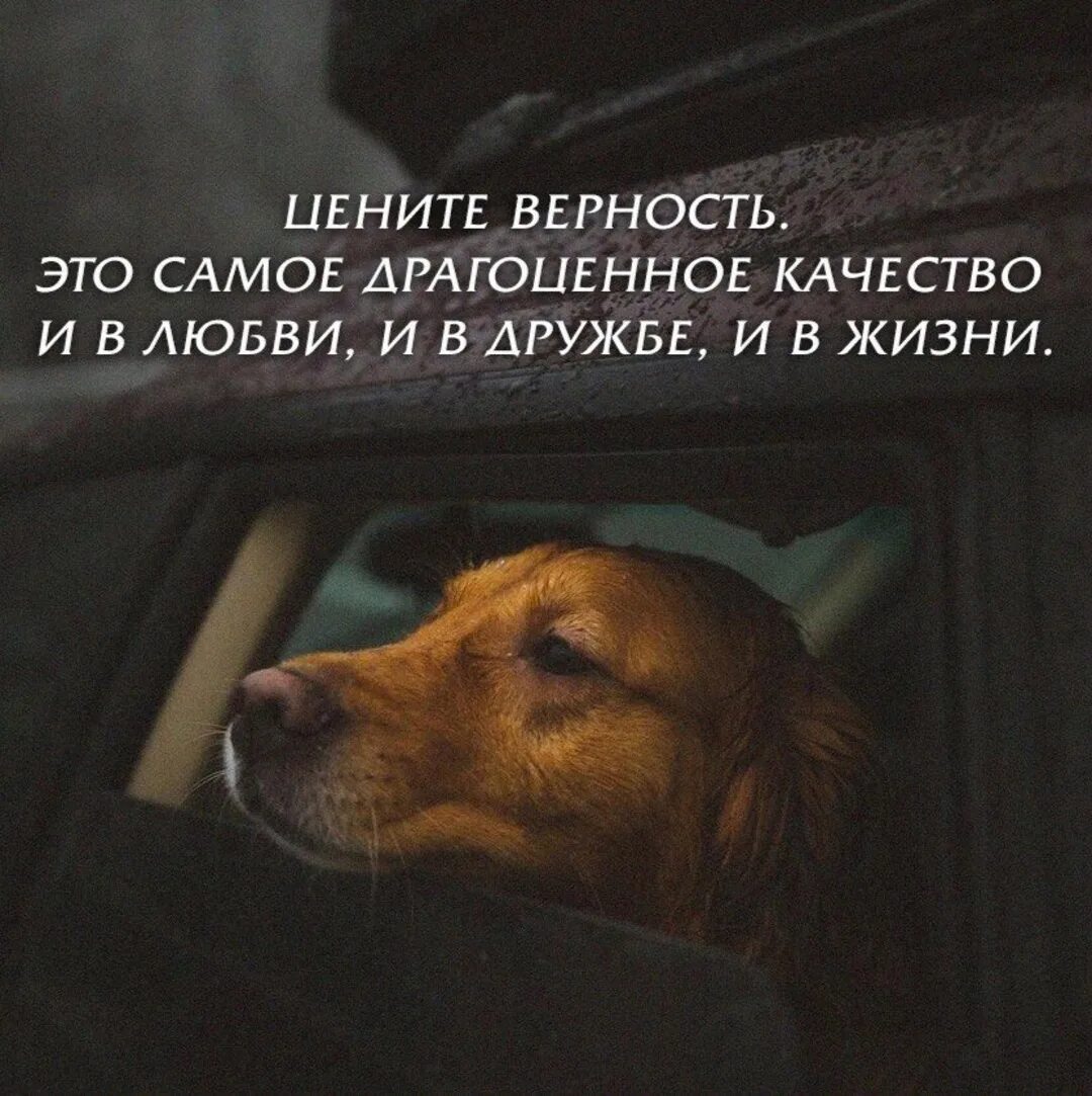 Цените преданных