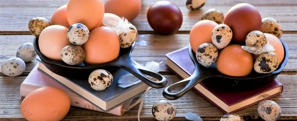 Отличие перепелиных яиц от куриных. Голубиное яйцо сваренное. яйца спортсменов. чем отличаются перепелиные яйца от куриных.