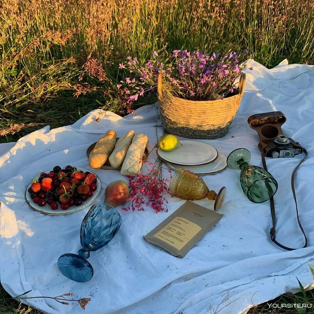 Пикник на донбассе. Эстетичный пикник на природе. Фотосессия в стиле пикник на природе. Пикник Эстетика. Осенний пикник Эстетика.