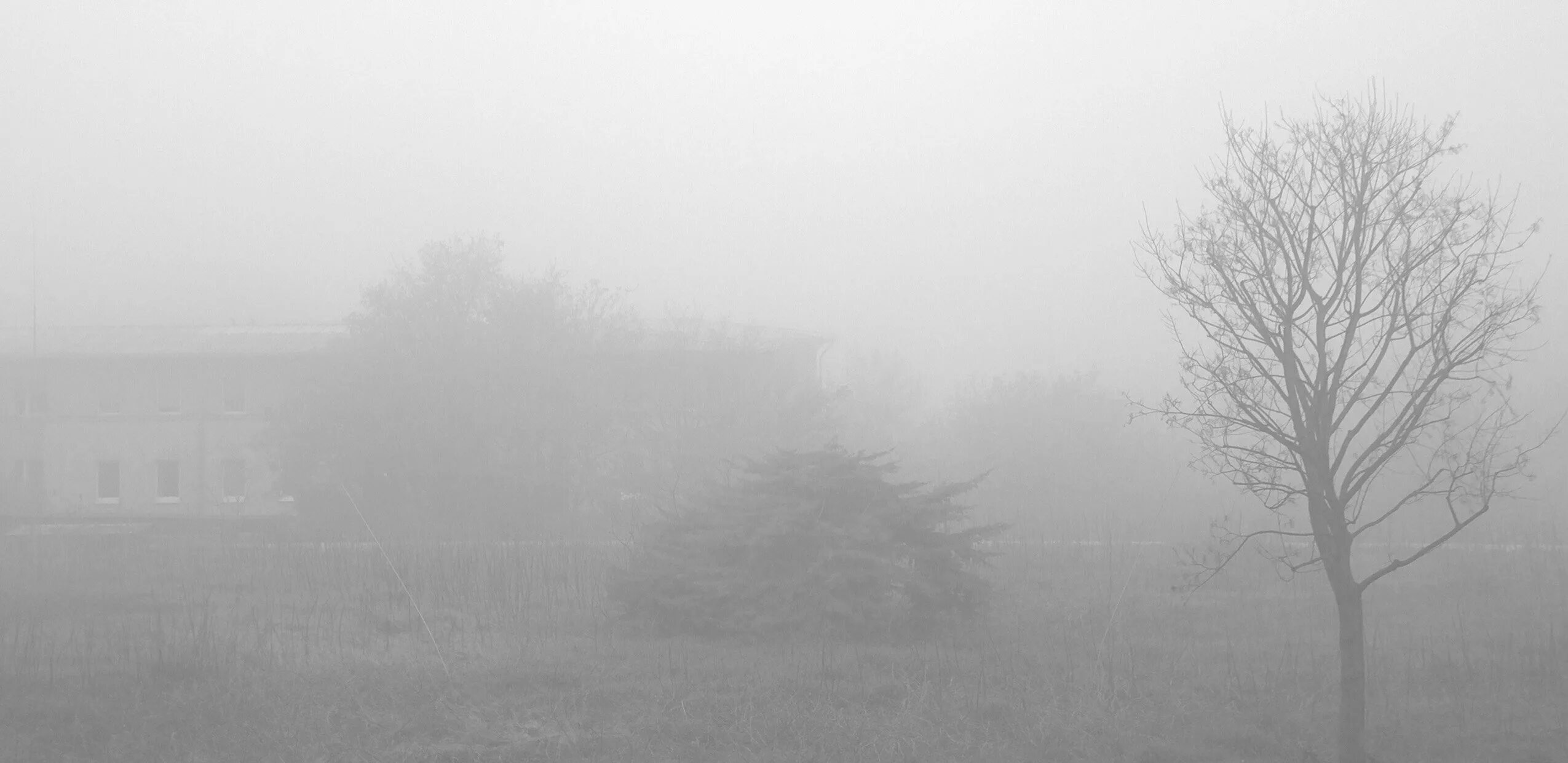 Густой туман тип предложения. Густой туман. Очень густой туман. Густой серый туман. Туман плотный густой.