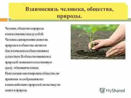Человек и закон взаимосвязь