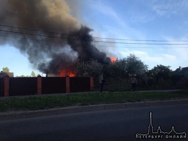 Что горит в горелово сейчас. Пожар в Горелово сейчас. В Коммунаре сгорел дом. Пожар в Горелово сегодня. Пожар в Санкт-Петербурге в Горелово сейчас.