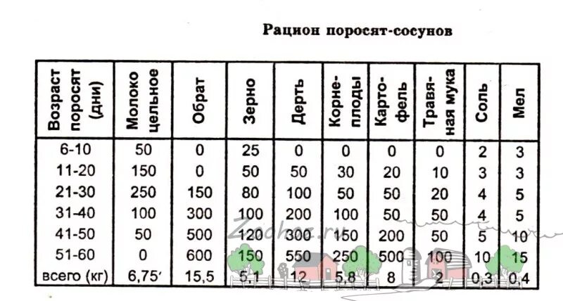 Можно ли месячным поросятам давать. Таблица кормления 2 месячного поросенка. Рационы кормов для поросят Сосунов. Схема кормления поросят с 2 месяца. Таблица кормления свиней по месяцам.