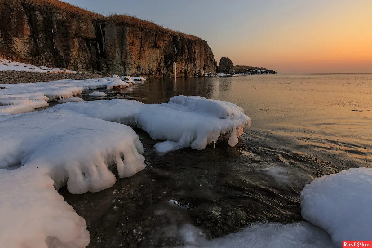 пальмы в снегу сочи. черное море в январе. январь море где. гагра снег. красивое зимнее море.