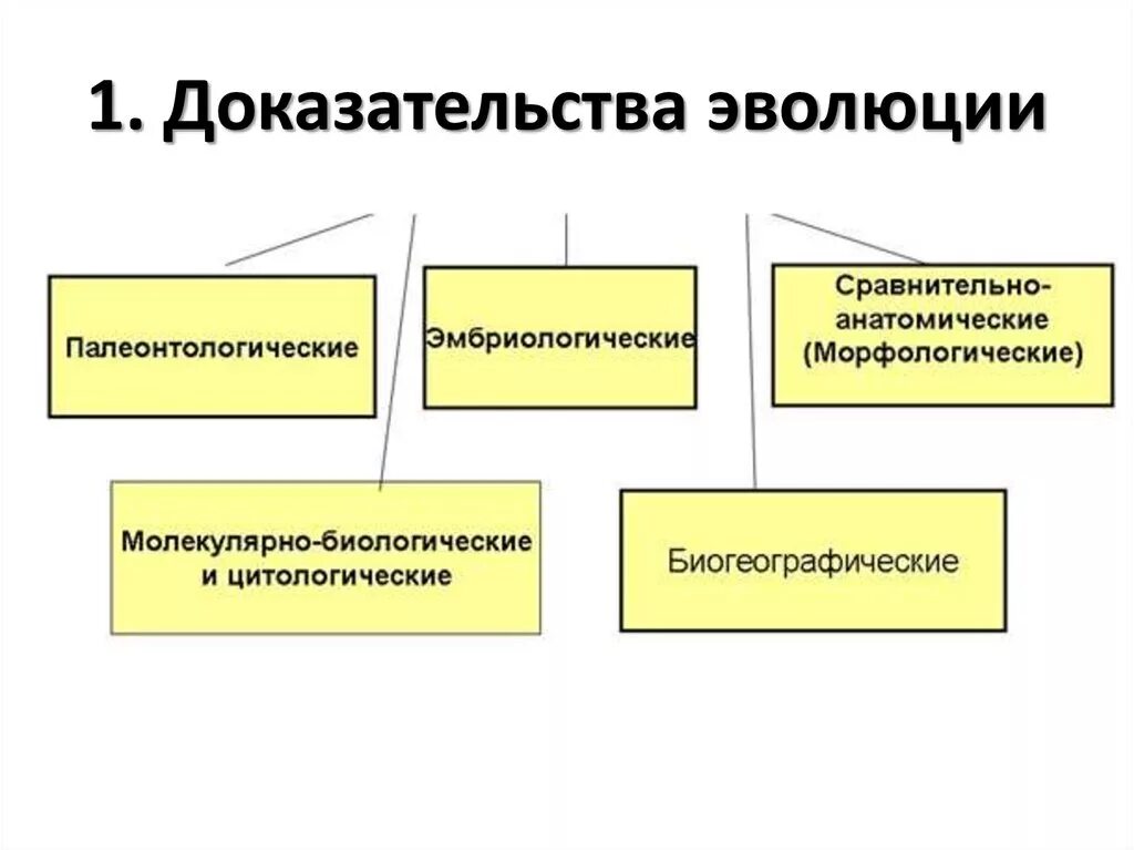 Схема многообразие элементарных эволюционных факторов. Доказательства эволюции таблица. Методы изучения эволюции доказательства эволюции таблица. Группы доказательств эволюционного процесса. Группа доказательств эволюции живой природы.