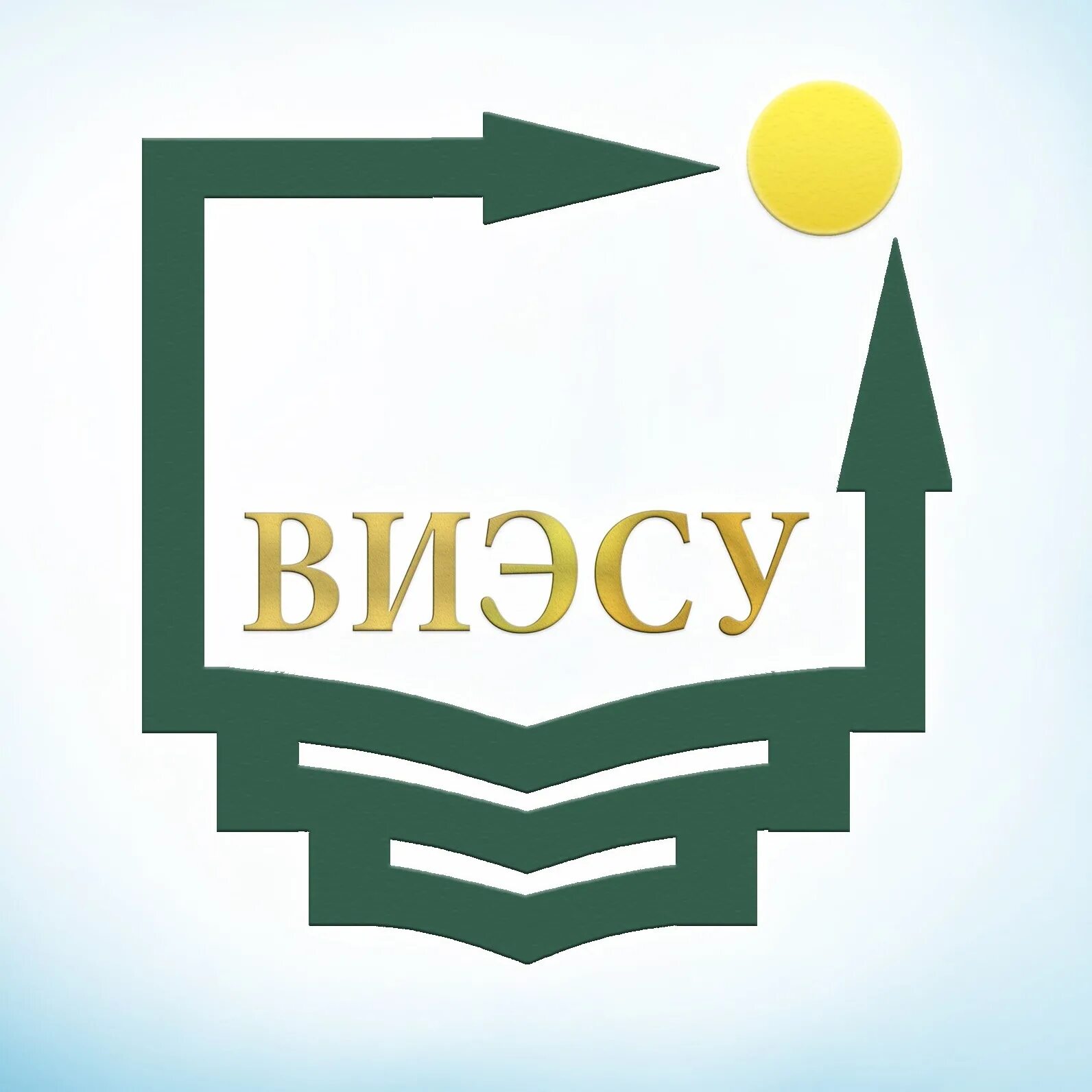 Институт экономики и социального управления воронеж. Виэсу. виэсу воронеж. воронежский институт экономики и социального управления. виэсу эмблема.