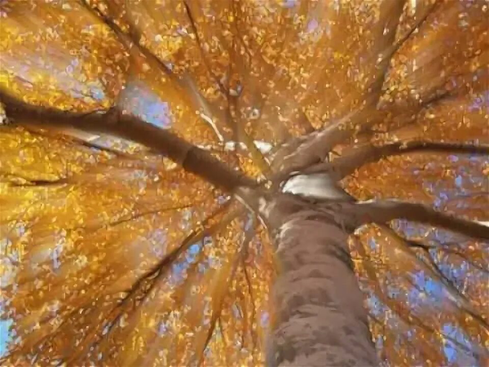 Ты в моем сентябре. Ты в моем сентябре