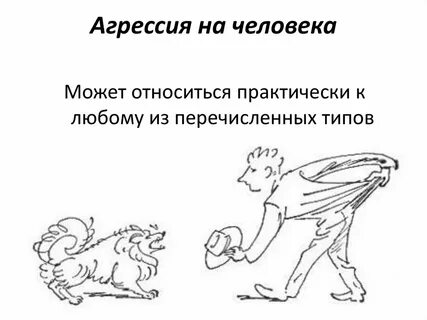Если уличная собака проявляет агрессию