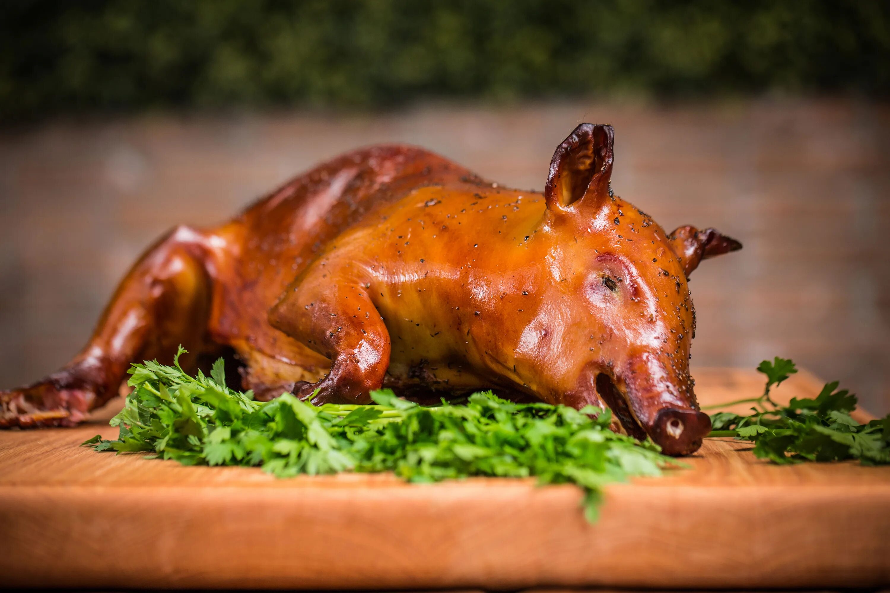 жареная белка