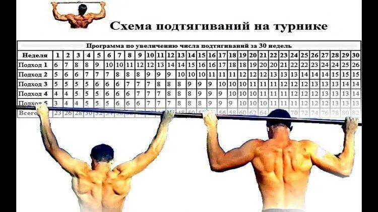 Схема увеличения подтягиваний на турнике с нуля. Подтягивания подходы таблица. Схема тренировок подтягивания на турнике. Турник подходы таблица. План подтягиваний