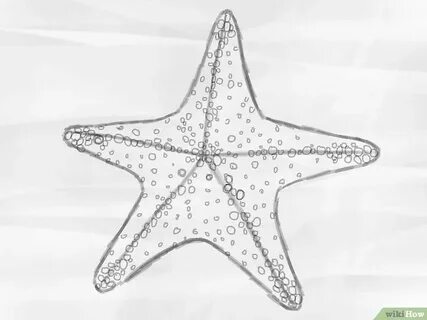 Как нарисовать морскую звезду ребенку