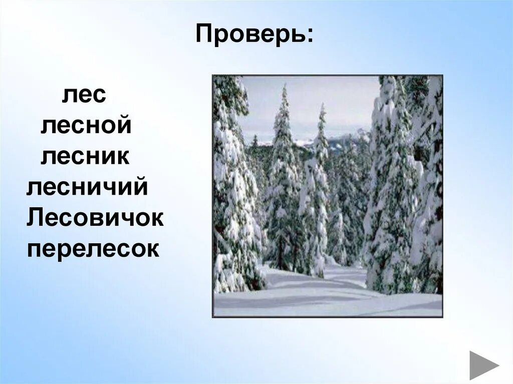 Лесные лес Лесник лесочек перелесок. Леса Лесной перелесок лесничий. Лесной Лесник лес однокоренные. Перелесок однокоренные слова.