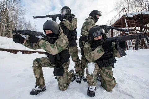 Сколько собра