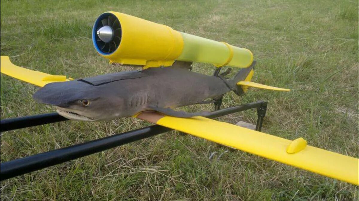 Кот дрон. Барт янсен. дрон из страуса. dead cat drone.