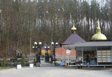 Задонск купель