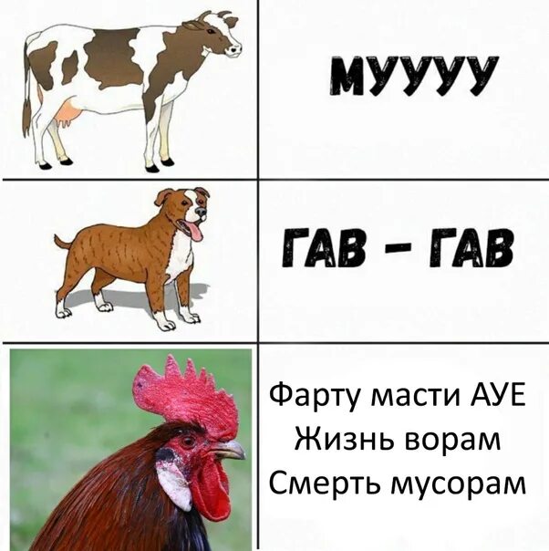 Фартовая текст. Фарту масти.