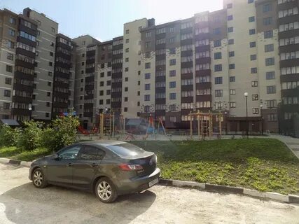 Дубовое зеленая