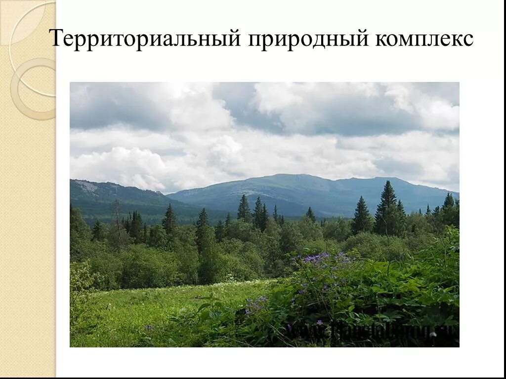 Понятие о природном комплексе. Природный территориальный комплекс. Территориально природный комплекс. Территориальные природные системы. Схема природного территориального комплекса.