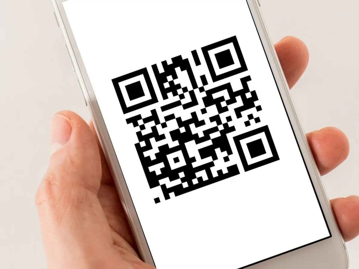 Бот для qr кодов