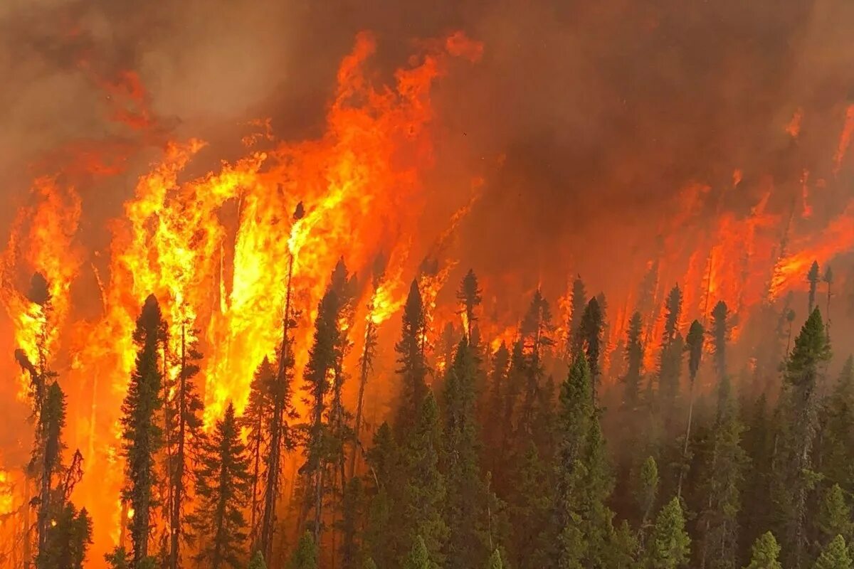 Active fire