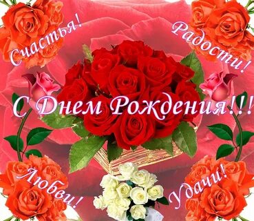 Поздравления с дне рождения для софии