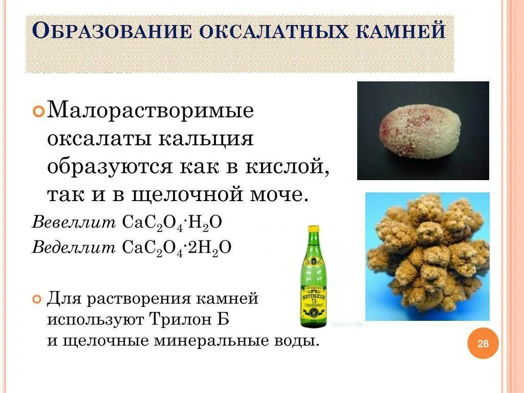 Оксалат кальция моногидрат в камне почки. Формирование конкрементов в почках. Оксалат кальция камни в почках. Уратные камни оксалаты. Образование оксалатных камней.
