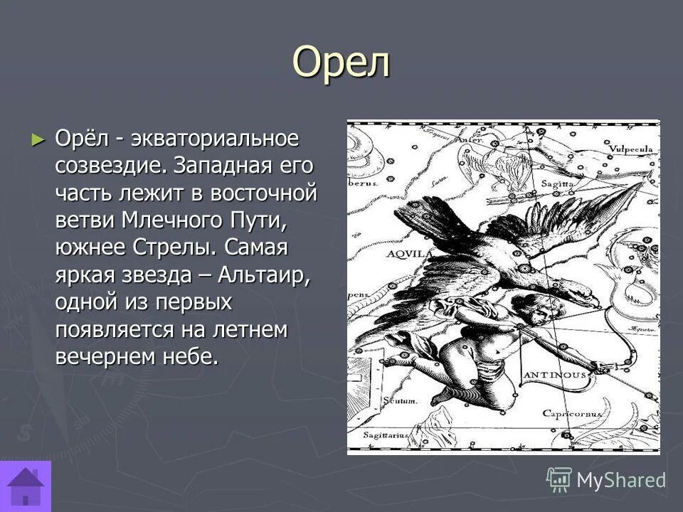 Самое яркое созвездие орла. Созвездие орла. Созвездие орла картинки. Созвездие орла рисунок. Созвездие орла Легенда.